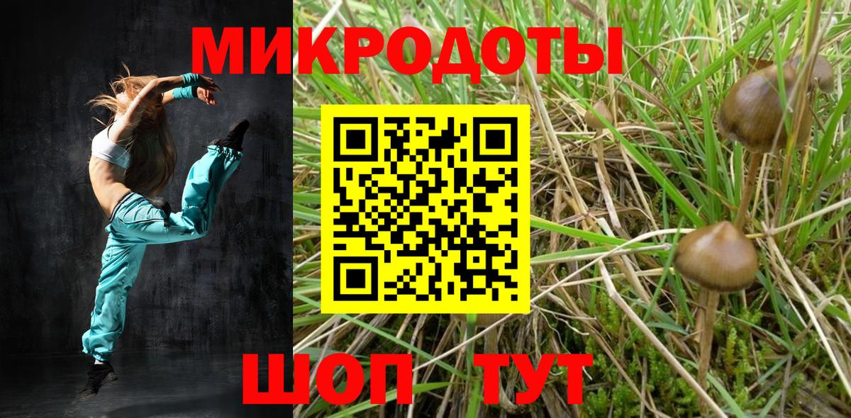 Галлюциногенные грибы прущие грибы Саранск